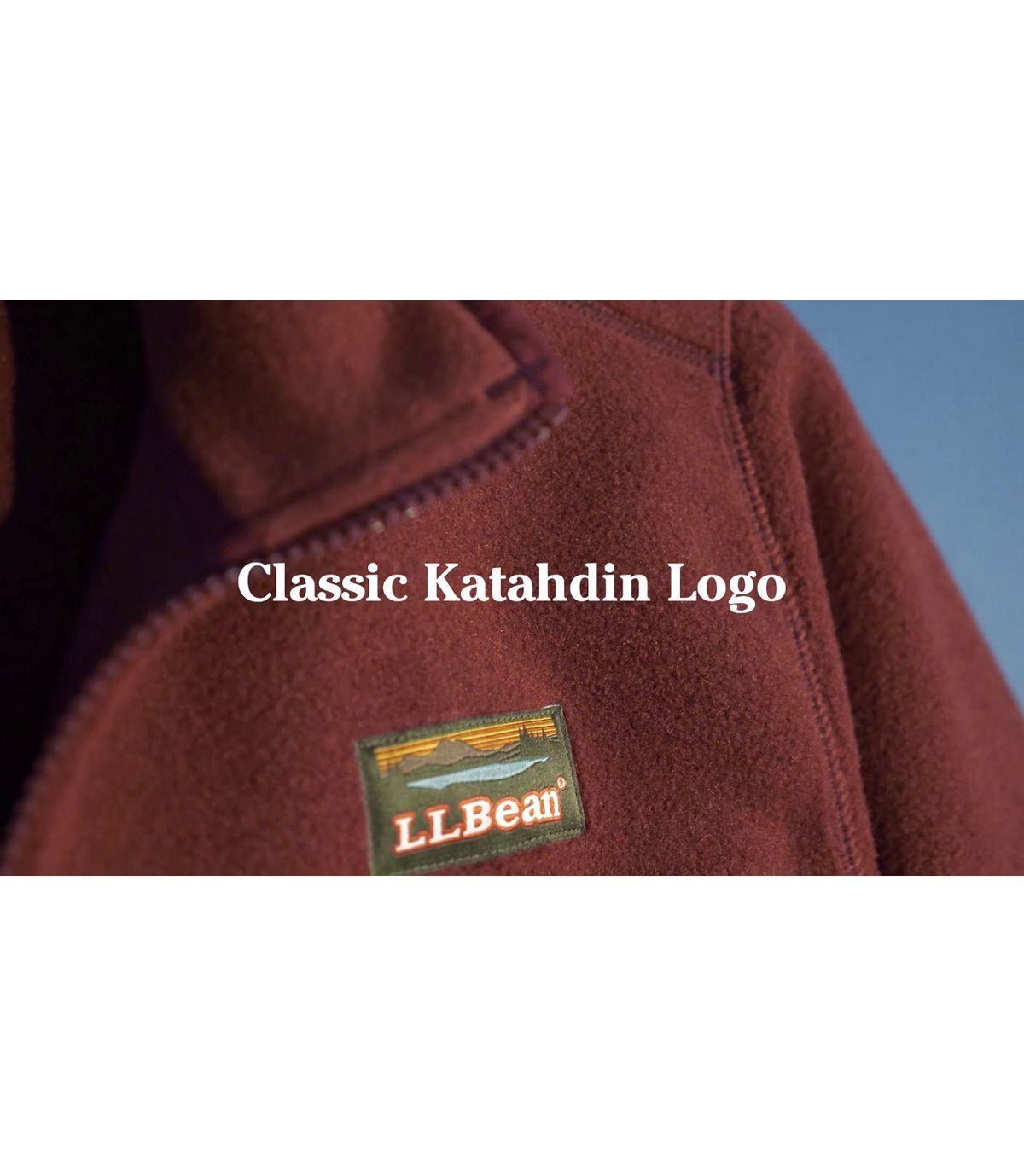 L.L.Bean Men's Mountain Classic Fleece Jacket