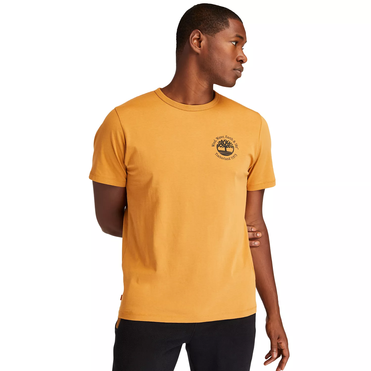 Men's Archive Short-Sleeve Hiker T-Shirt