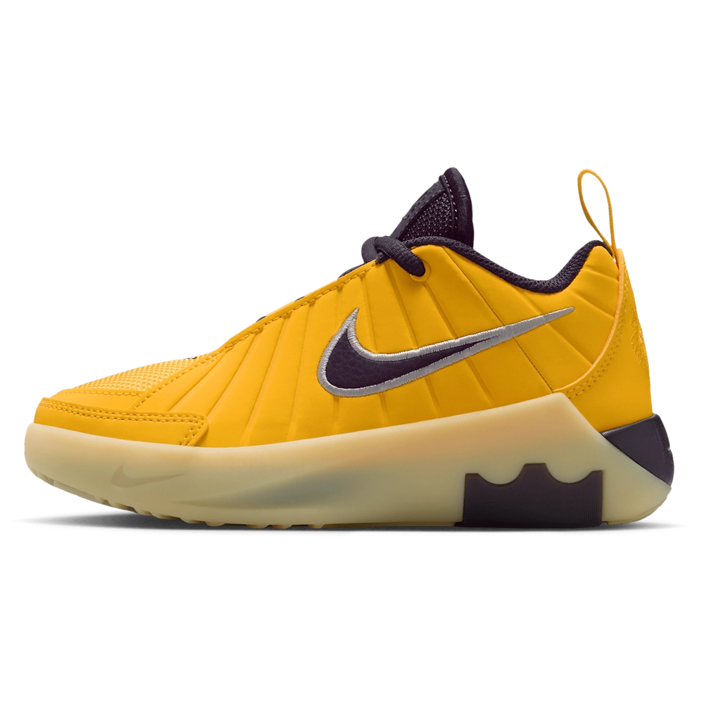 Nike Lebron Witness IX