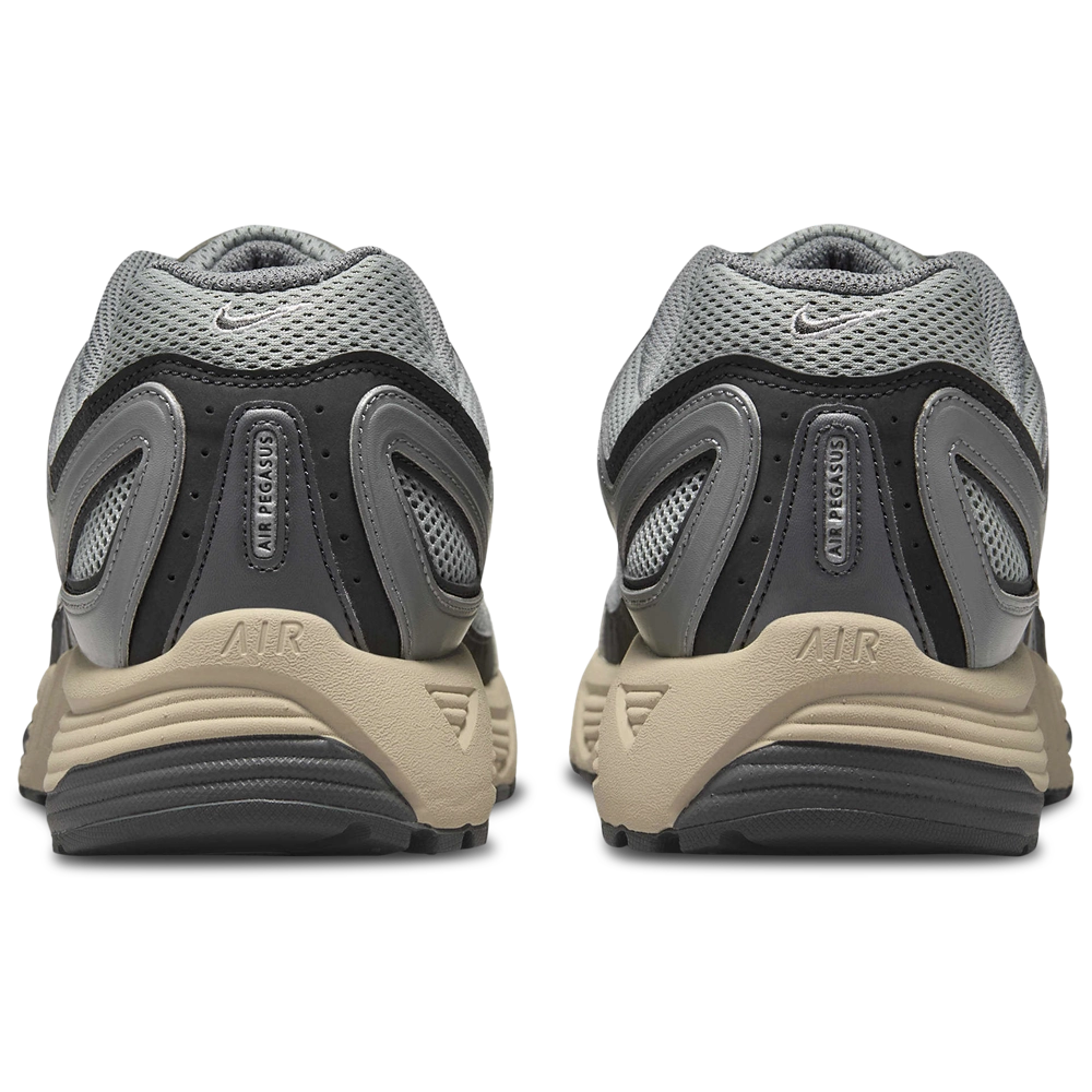 Nike Air Pegasus 2005