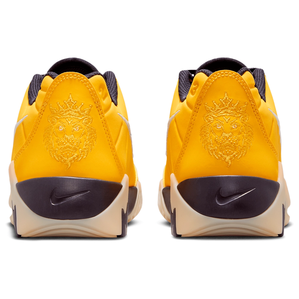Nike Lebron Witness IX