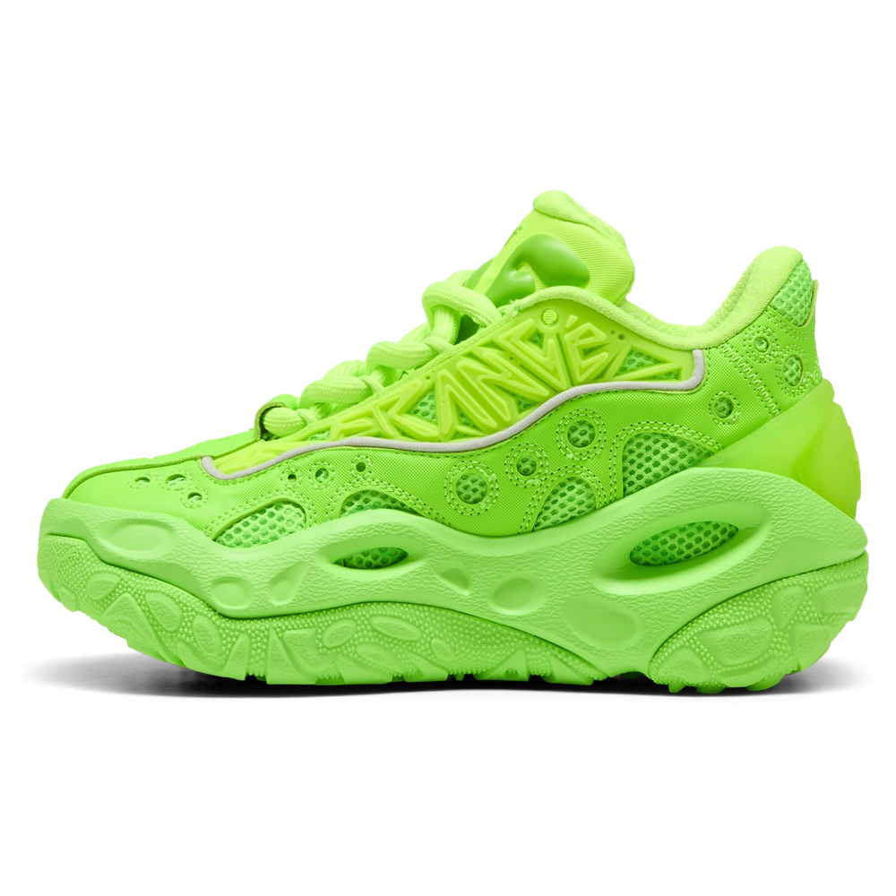 PUMA LaFrance RNR Bonds