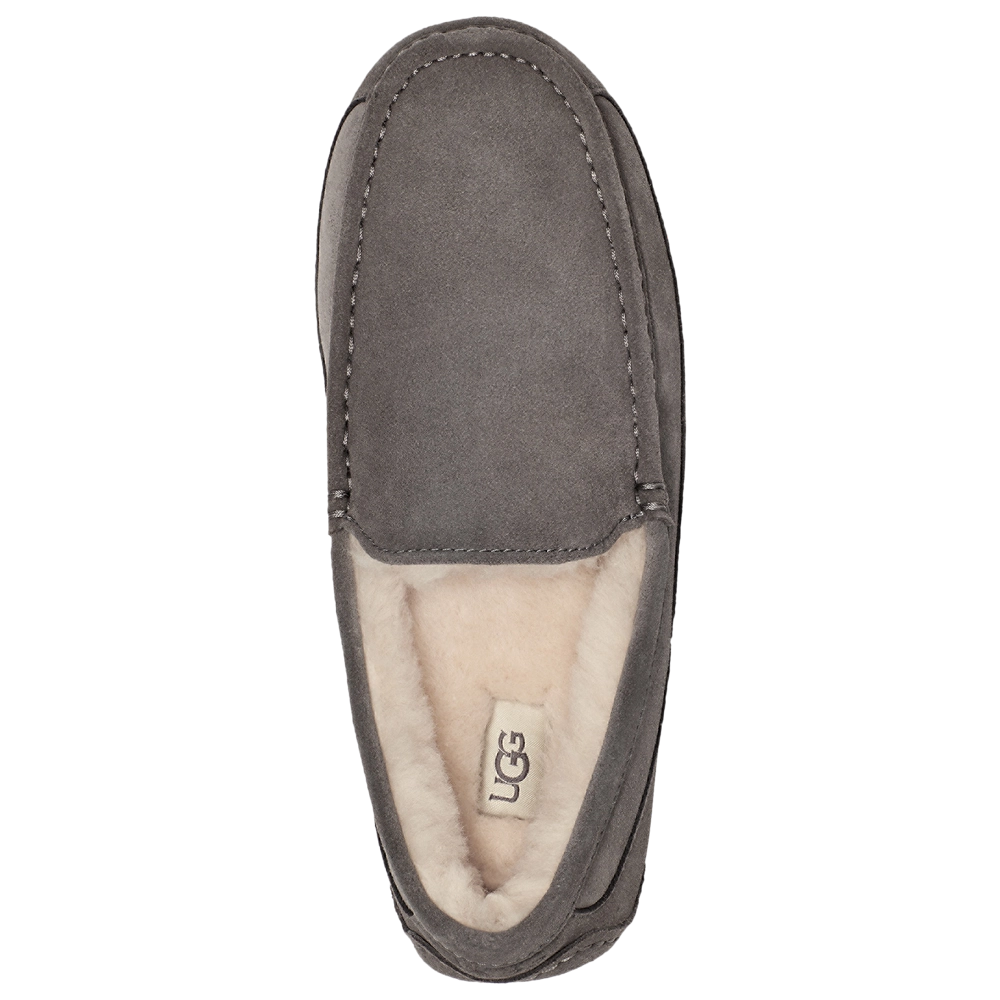 UGG Ascot
