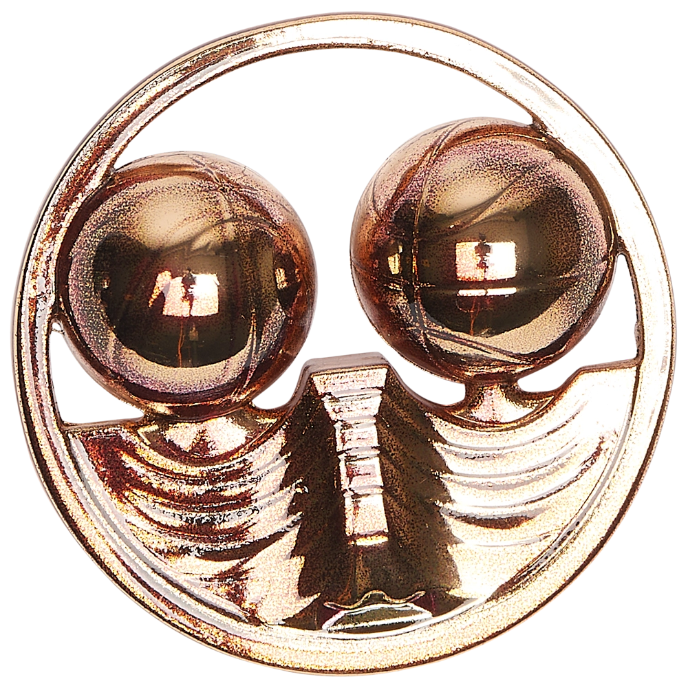 Nike Lebron XXIII Alt