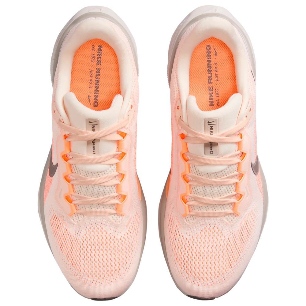 Nike Air Zoom Pegasus 41