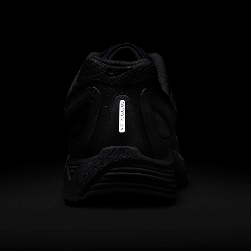 Nike Air Pegasus 2005