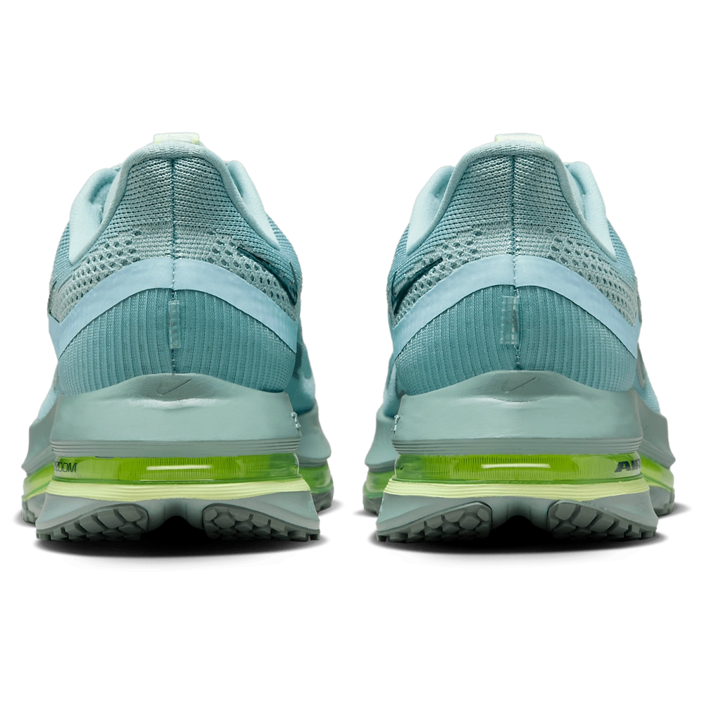 Nike Pegasus Premium