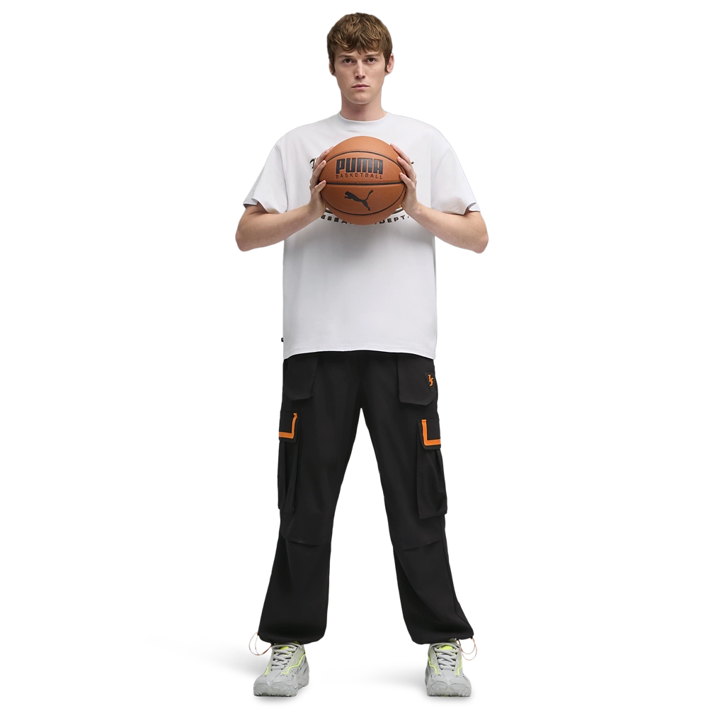 PUMA LaFrance RNR Solar