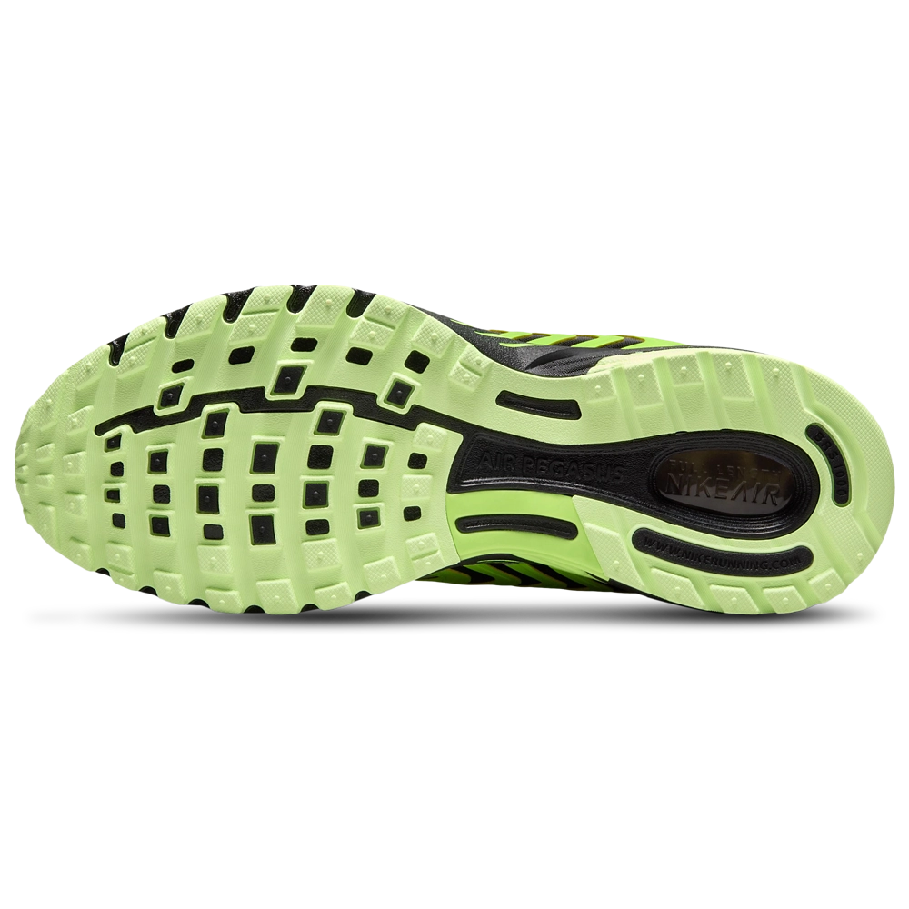 Nike Air Pegasus 2005