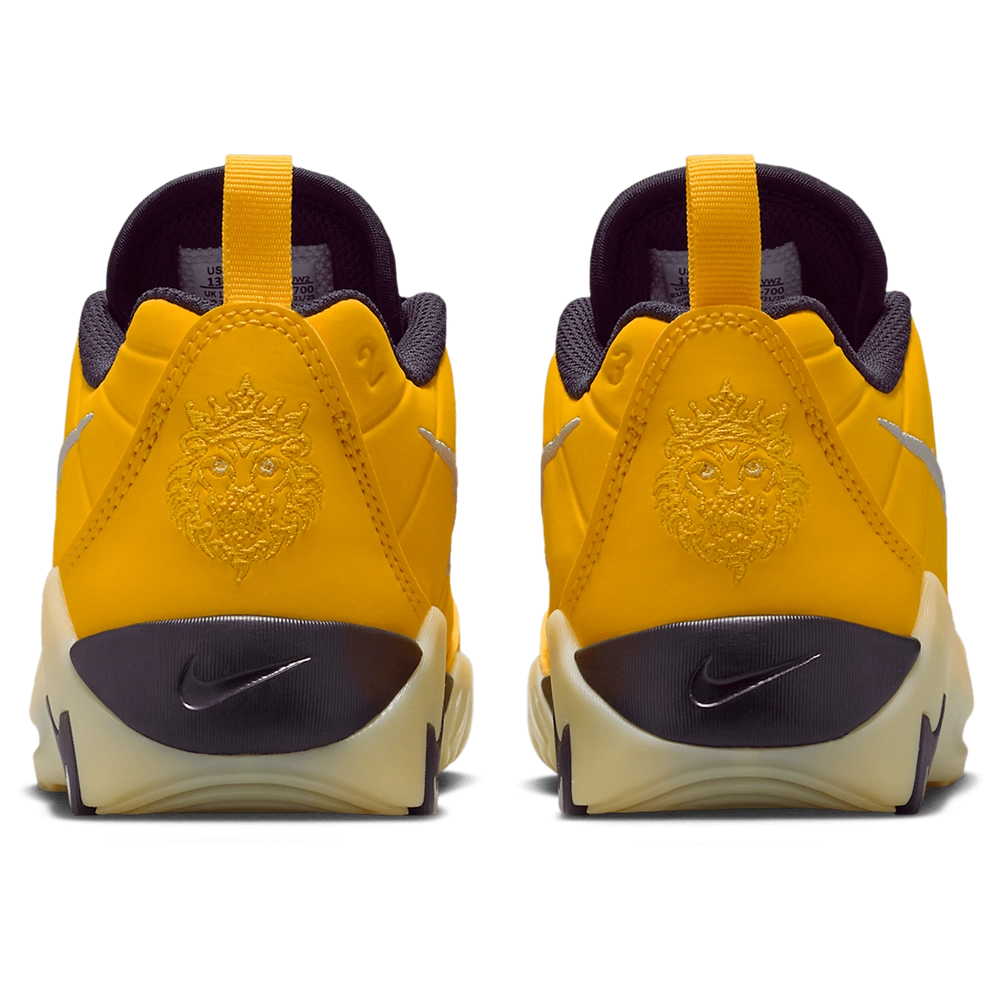 Nike Lebron Witness IX