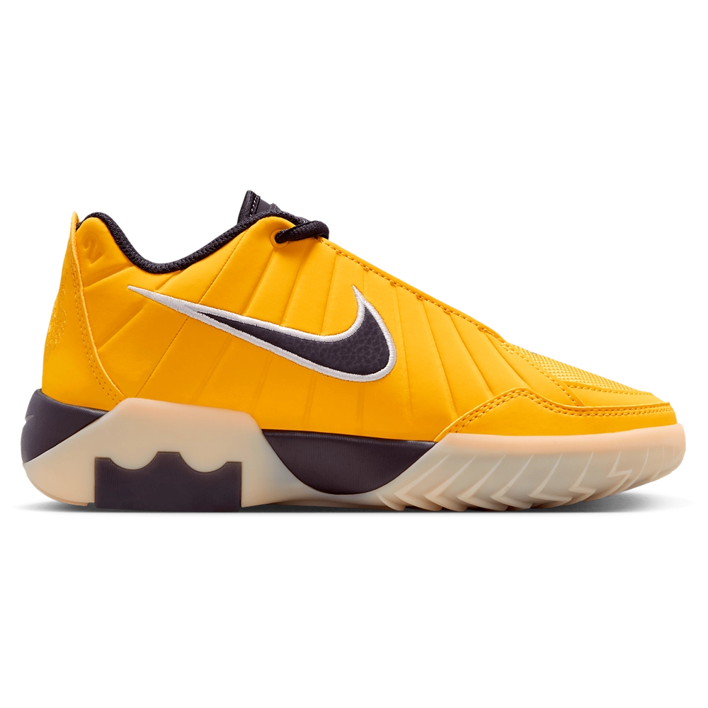 Nike Lebron Witness IX