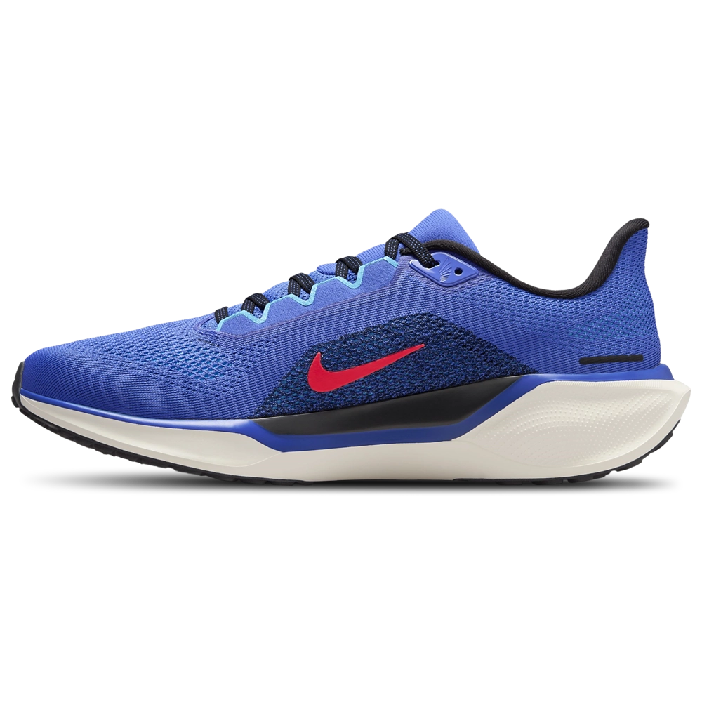 Nike Air Zoom Pegasus 41