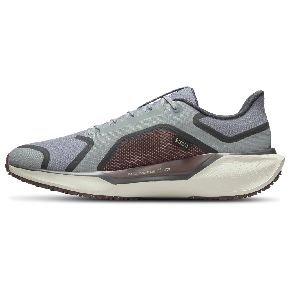 Nike Air ZOOM Pegasus 41 GTX