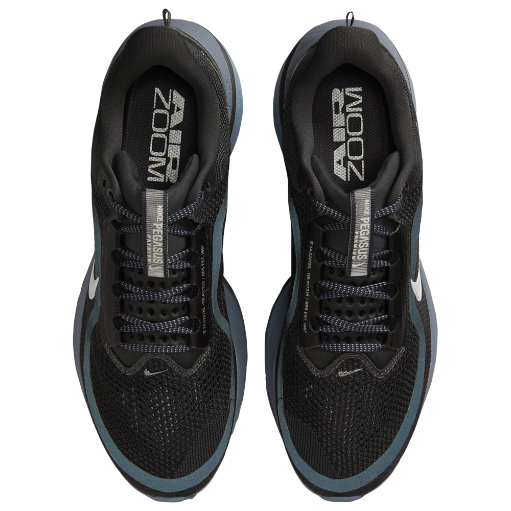 Nike Pegasus Premium