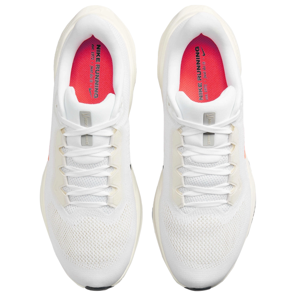 Nike Zoom Pegasus 10 PQ