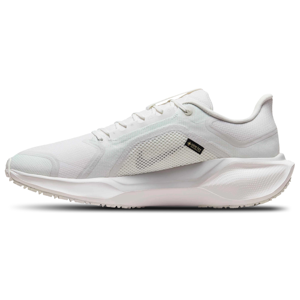 Nike Air ZOOM Pegasus 41 GTX