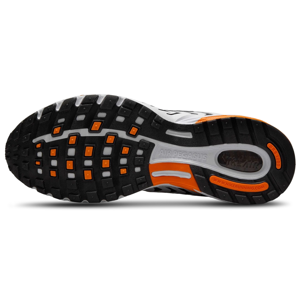 Nike Air Pegasus 2005