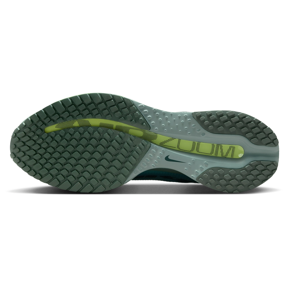 Nike Pegasus Premium