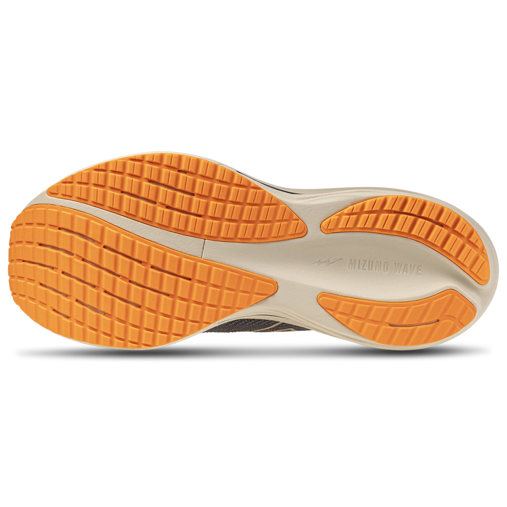 Mizuno Wave Rider 29