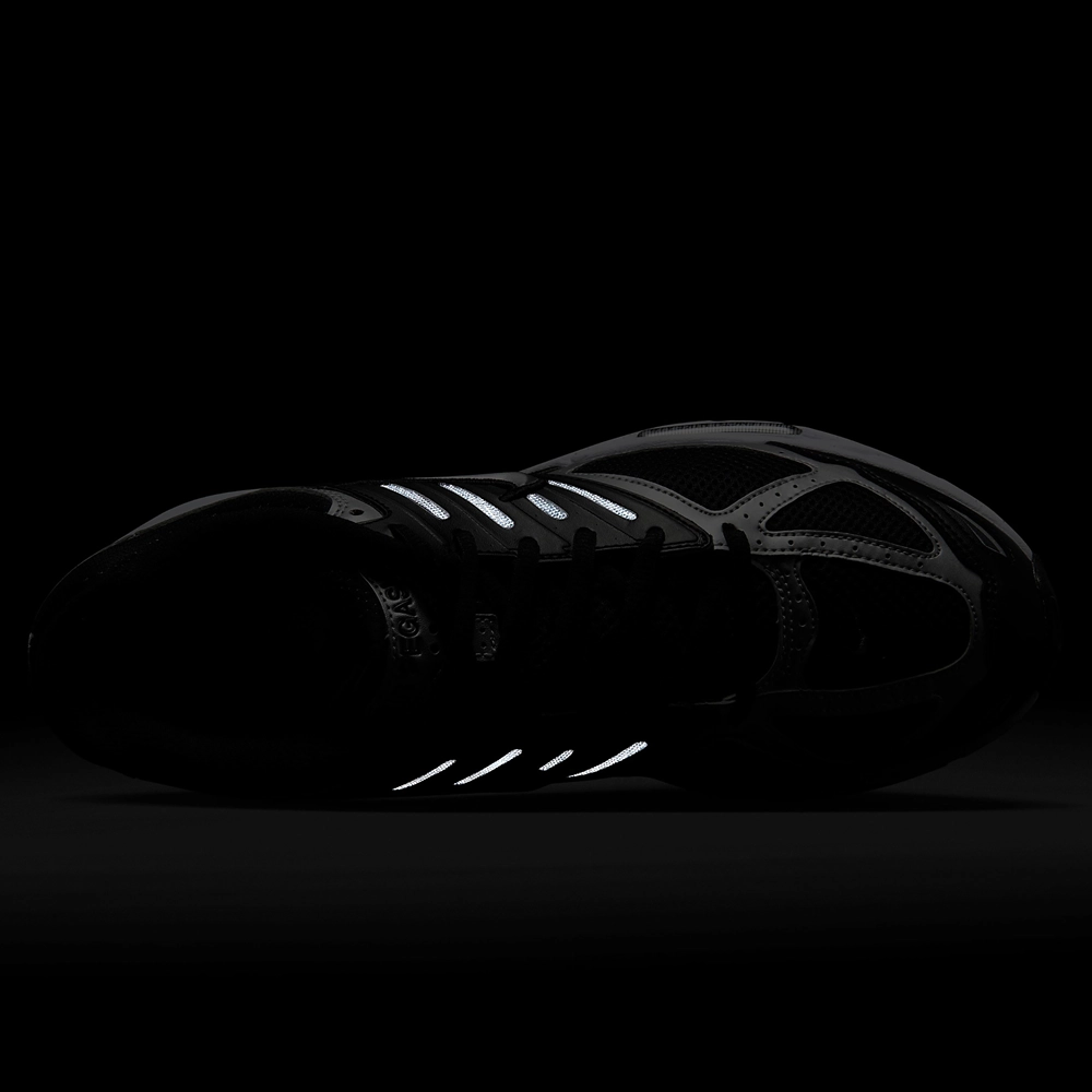 Nike Air Pegasus 2005