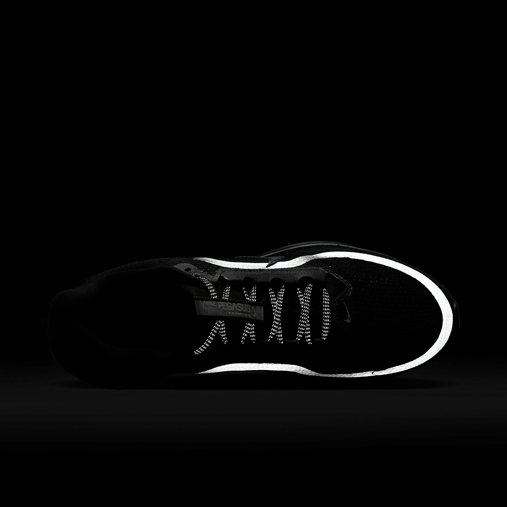 Nike Pegasus Premium