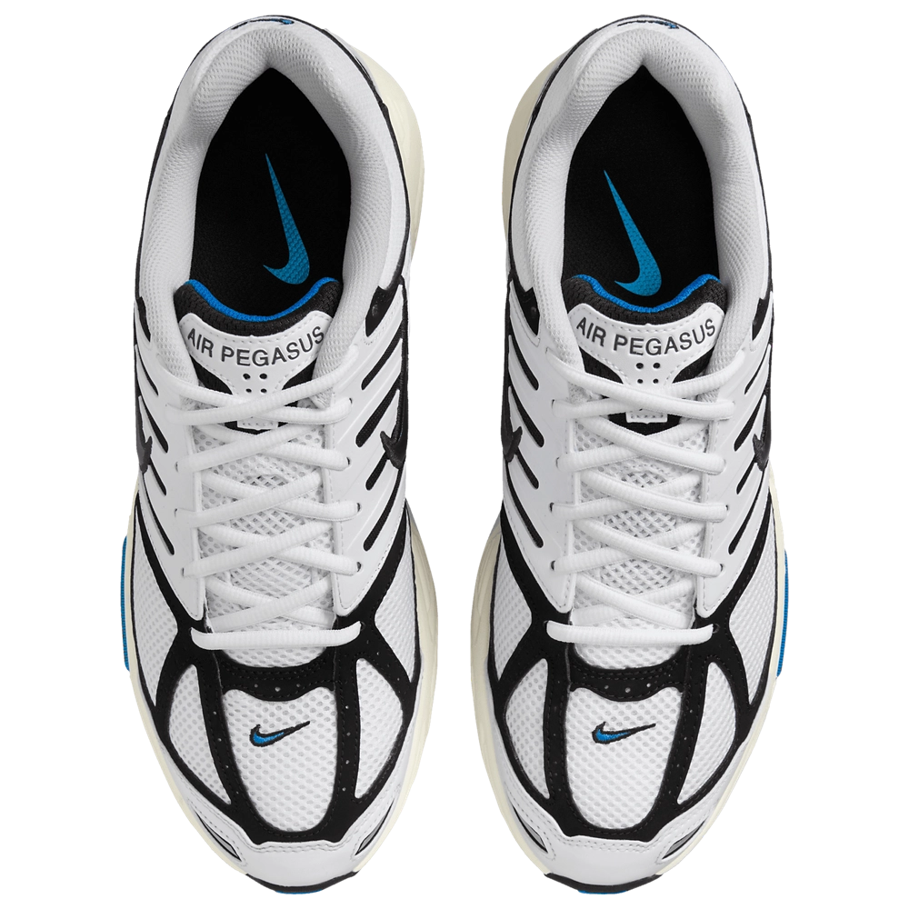 Nike Air Pegasus 2005