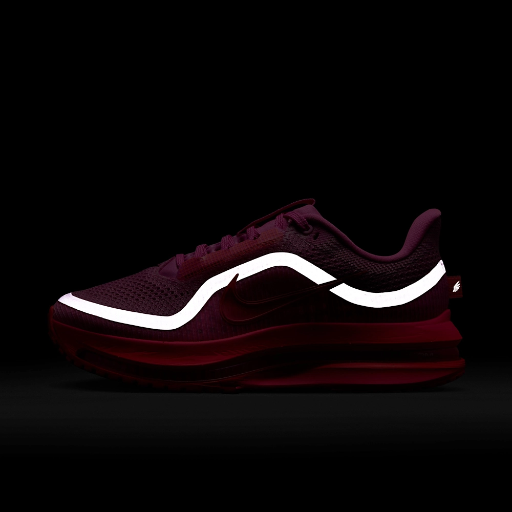 Nike Pegasus Premium