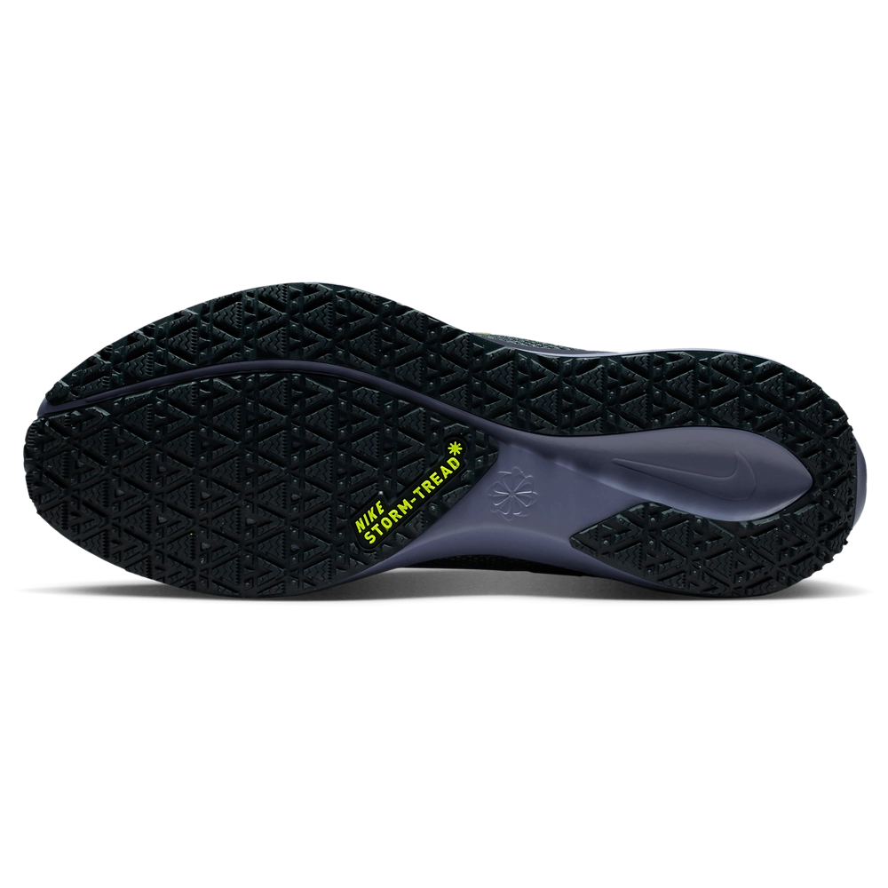 Nike Air ZOOM Pegasus 41 GTX