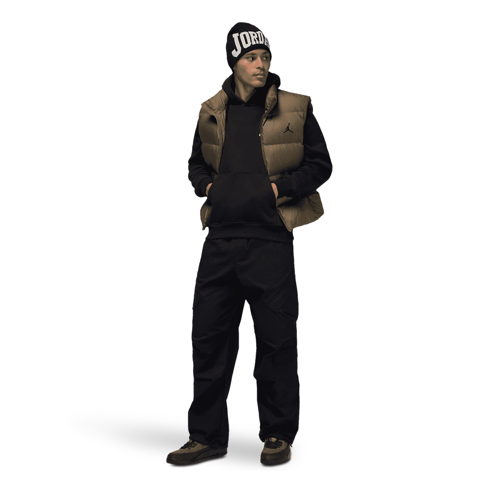 Jordan Spizike Low V2