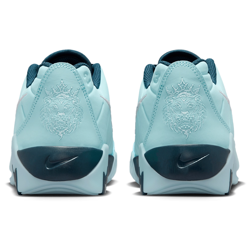 Nike Lebron Witness IX