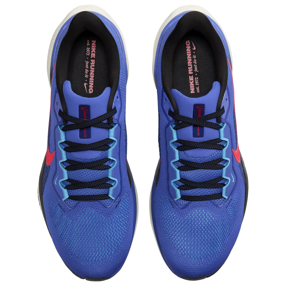 Nike Air Zoom Pegasus 41