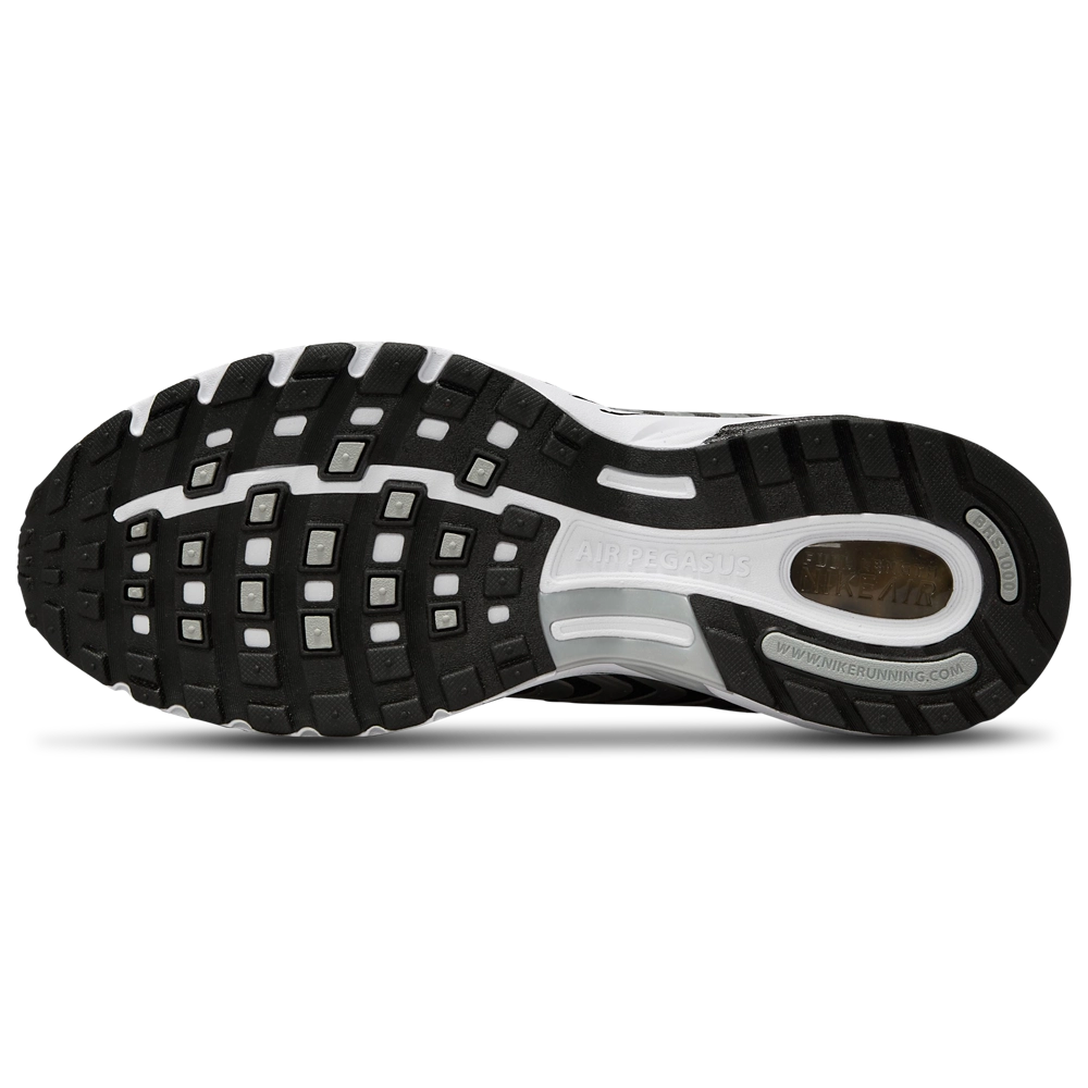 Nike Air Pegasus 2005