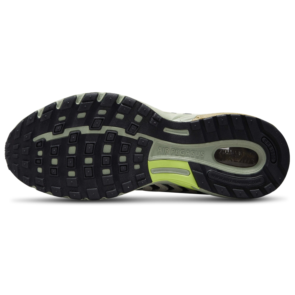 Nike Air Pegasus 2005