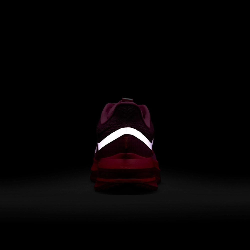 Nike Pegasus Premium