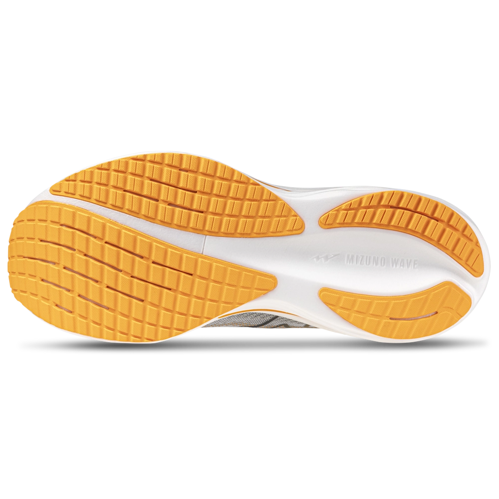 Mizuno Wave Rider 29