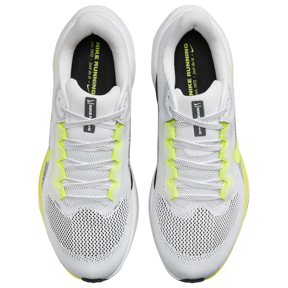 Nike Air Zoom Pegasus 41