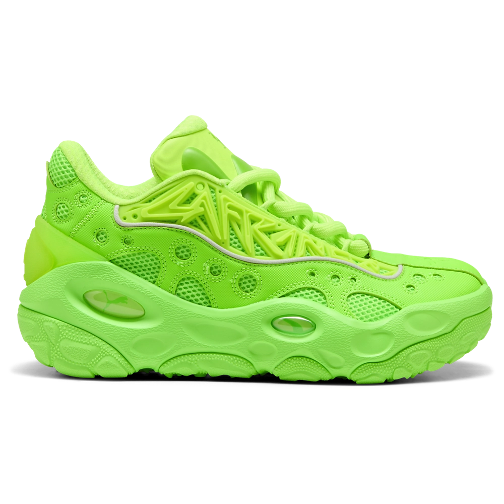 PUMA LaFrance RNR Bonds