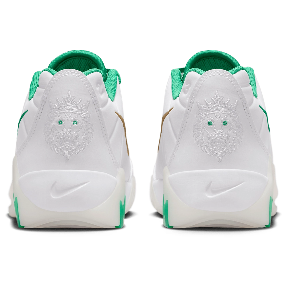 Nike Lebron Witness IX