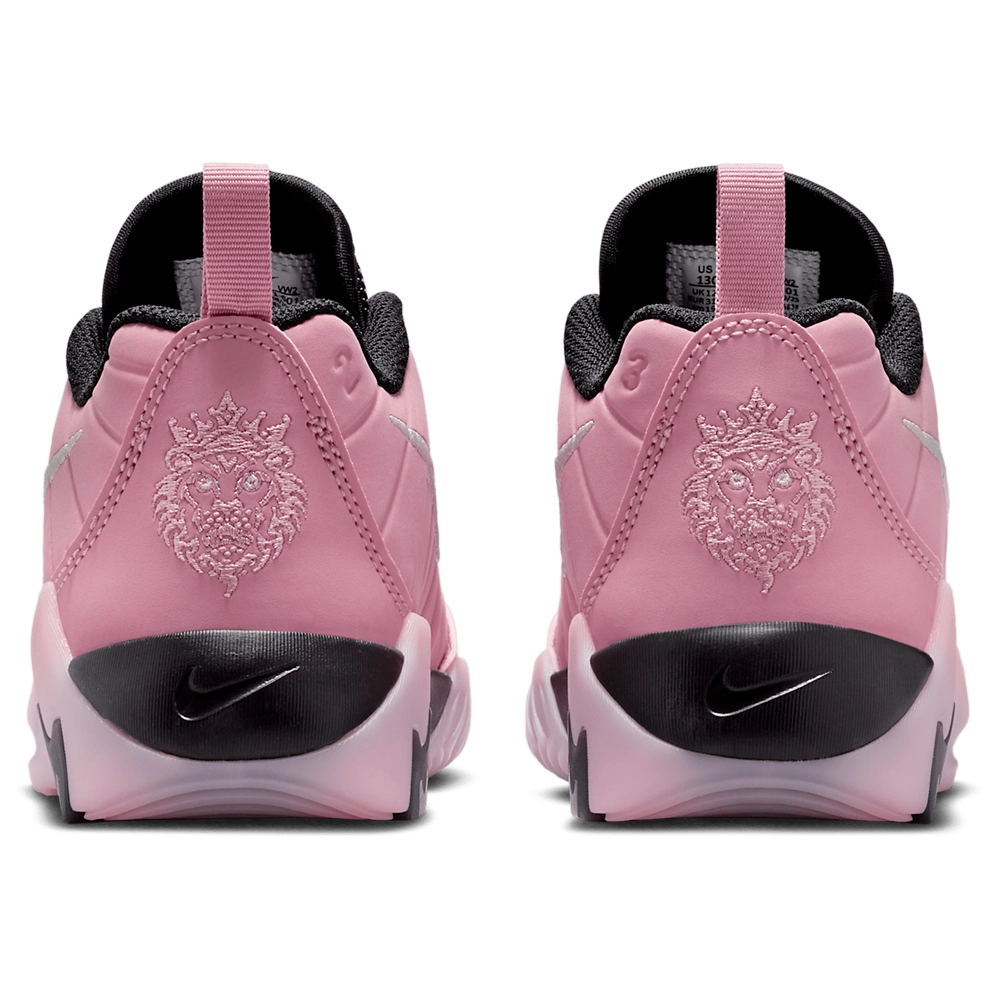 Nike Lebron Witness IX