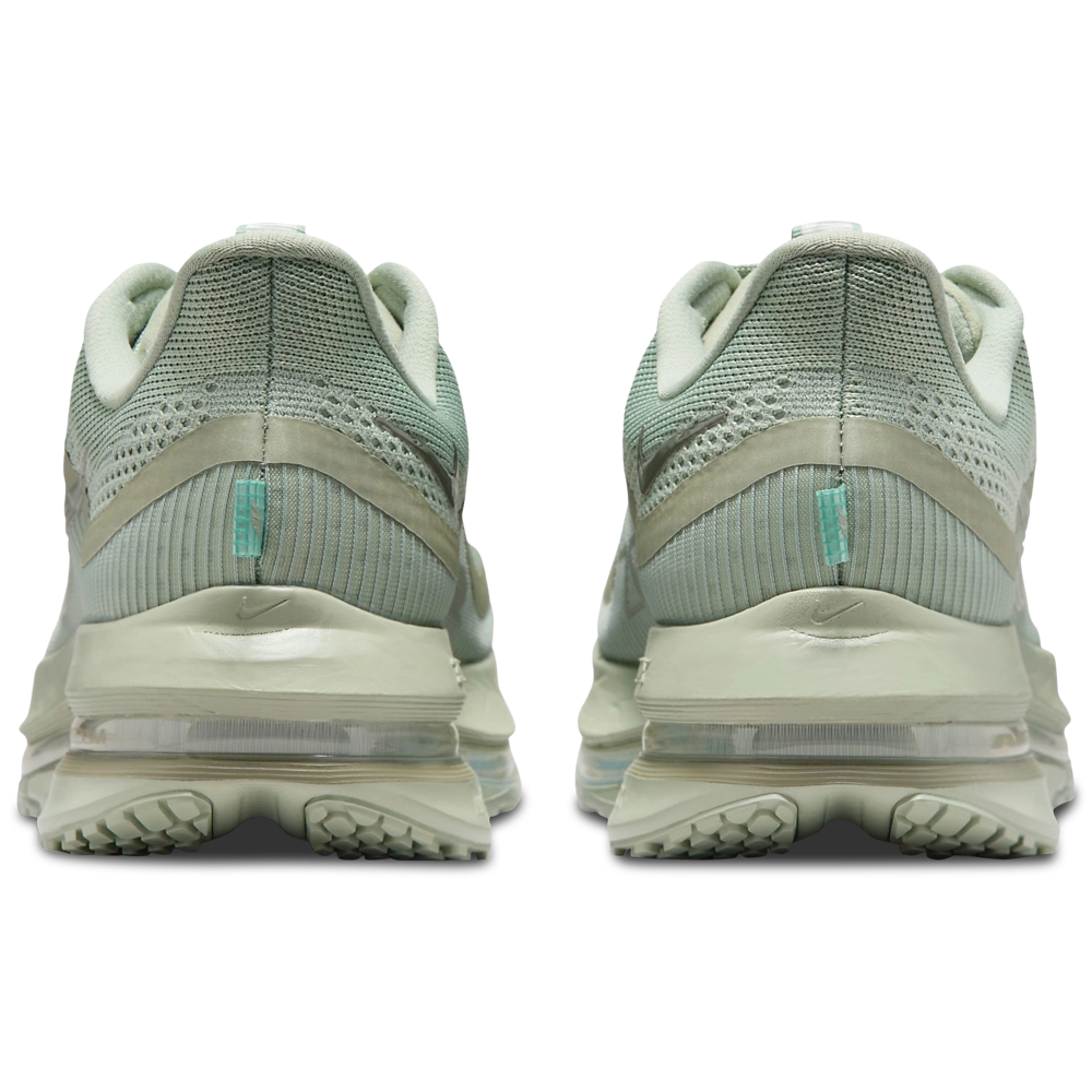 Nike Pegasus Premium