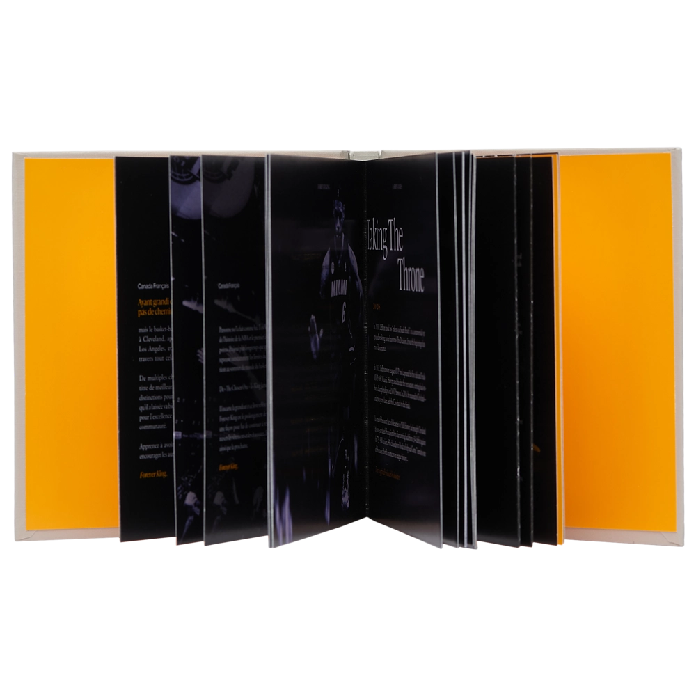 Nike Lebron XXIII Alt