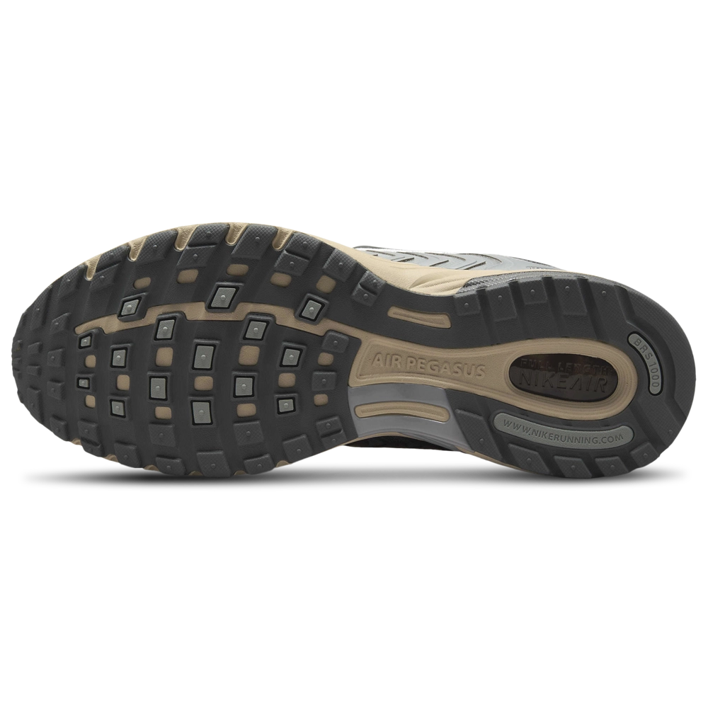 Nike Air Pegasus 2005