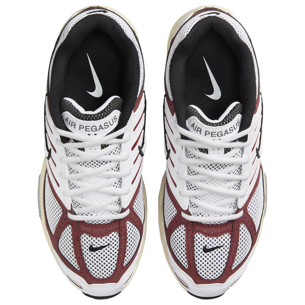 Nike Air Pegasus 2005