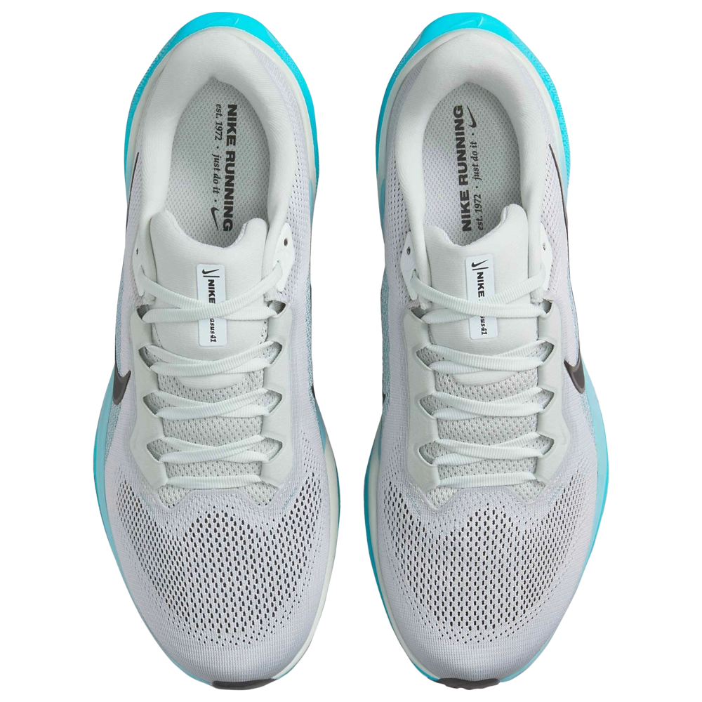 Nike Air Zoom Pegasus 41