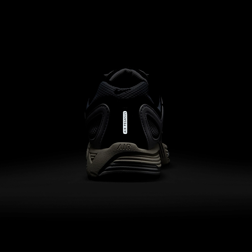 Nike Air Pegasus 2005