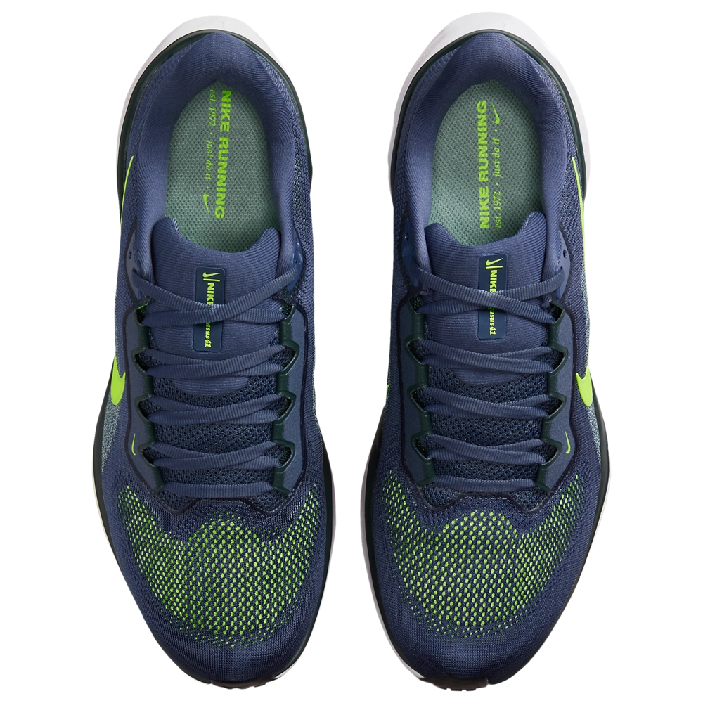 Nike Air Zoom Pegasus 41