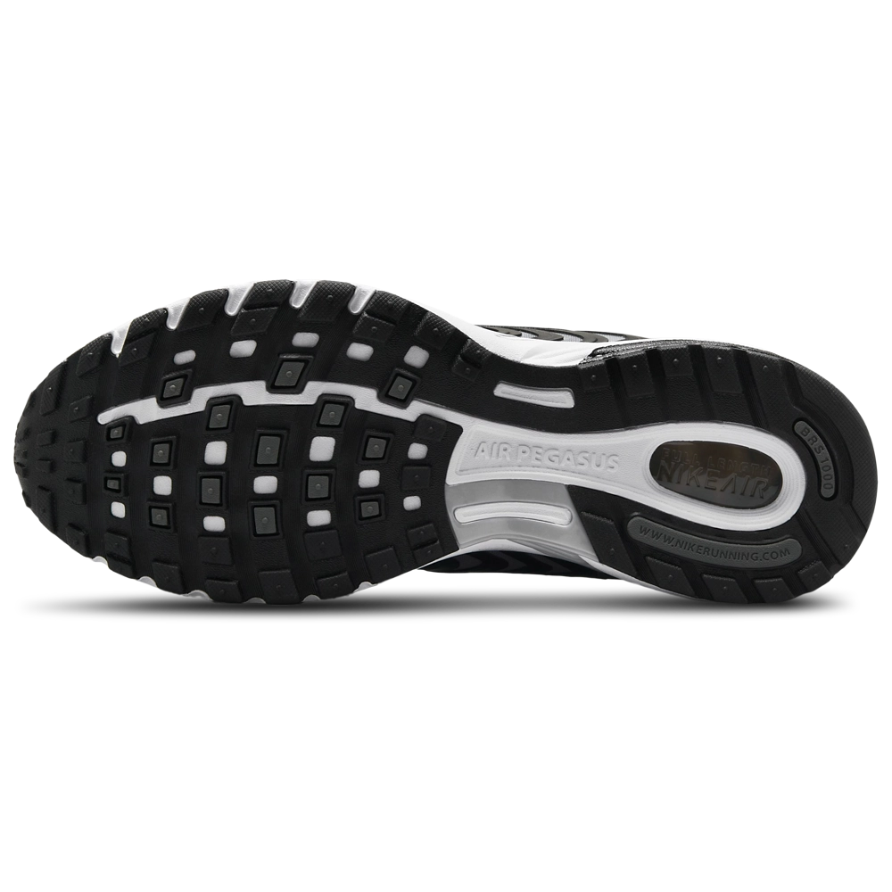 Nike Air Pegasus 2005