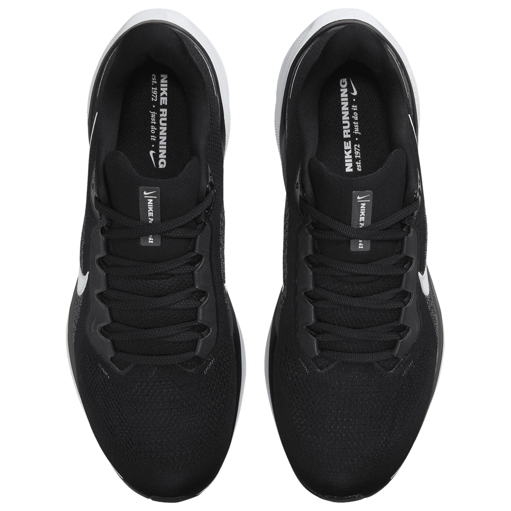 Nike Air Zoom Pegasus 41