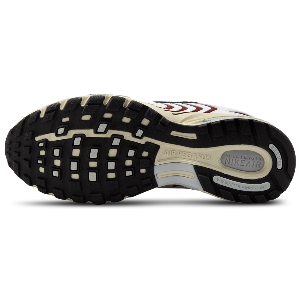 Nike Air Pegasus 2005