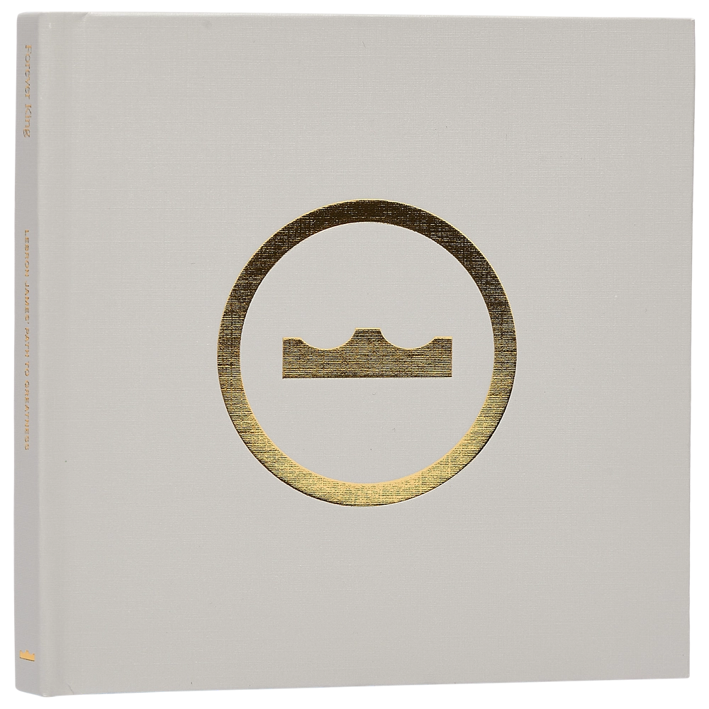 Nike Lebron XXIII Alt